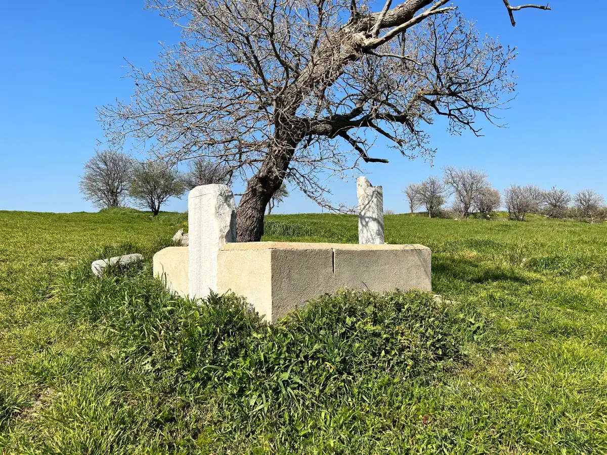 Alemşah Hz.